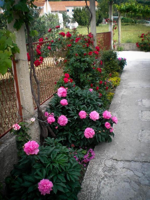 Francesca Guesthouse มลินี ภายนอก รูปภาพ